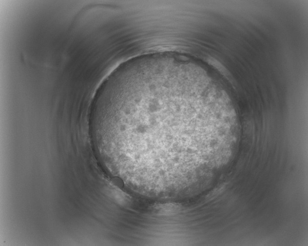 X0000063451023200602031802