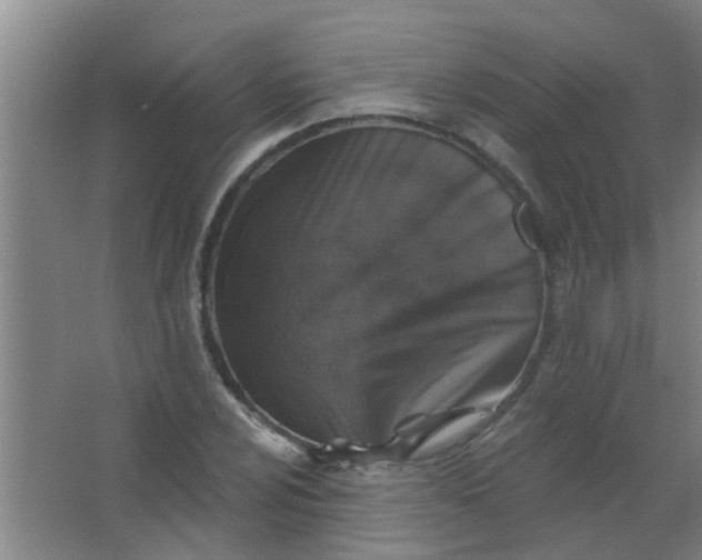 X0000063451024200602031802