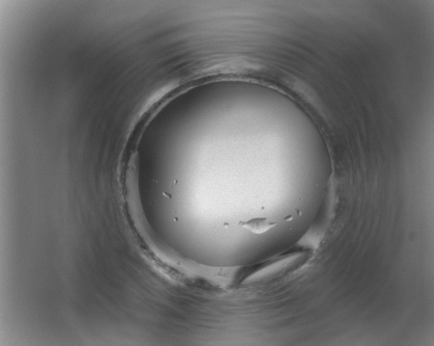 X0000063451026200602031802