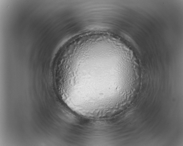 X0000063451027200602031802