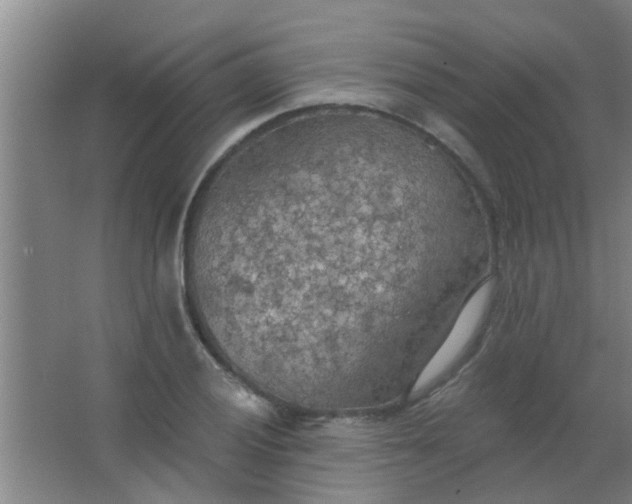 X0000063451028200602031802