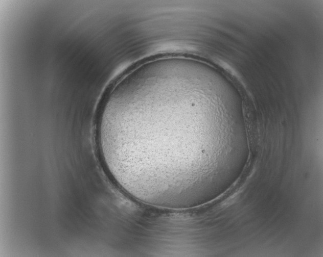 X0000063451029200602031802