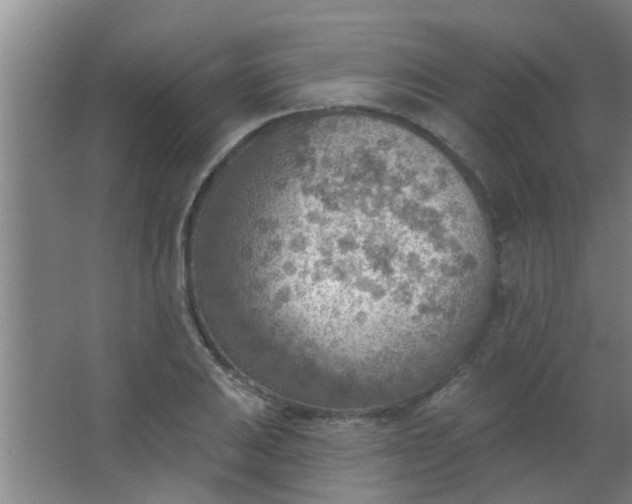 X0000063451031200602031802