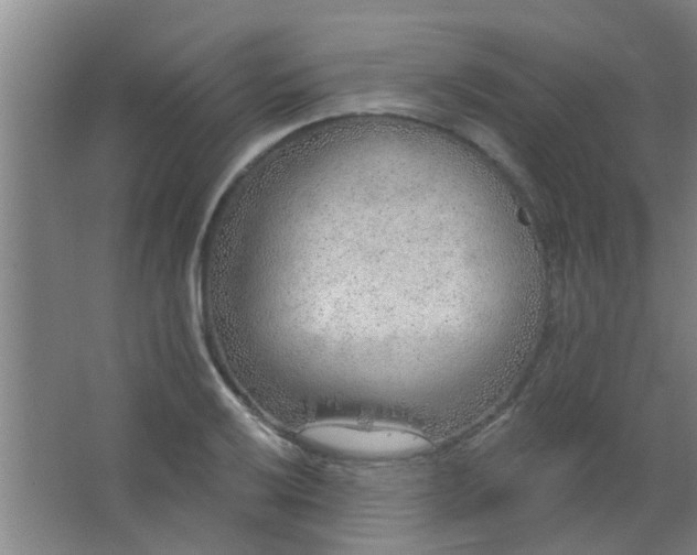 X0000063451032200602031802