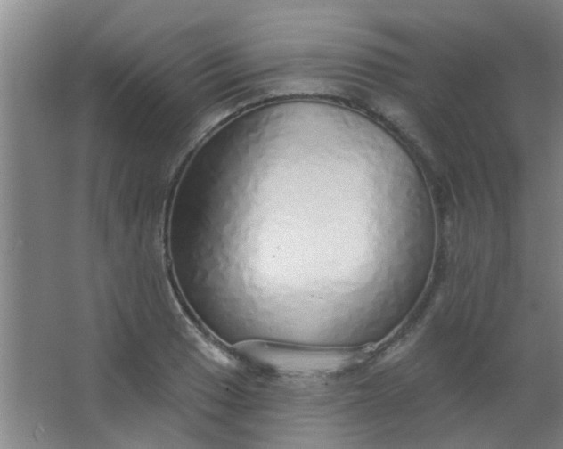 X0000063451033200602031802