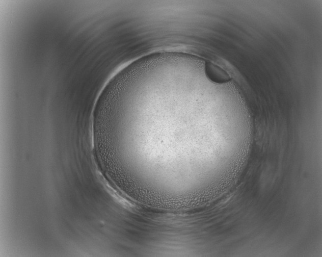 X0000063451036200602031802