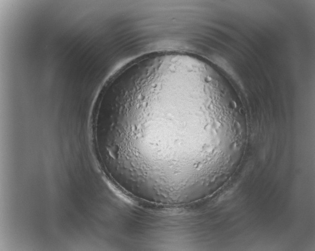 X0000063451037200602031802