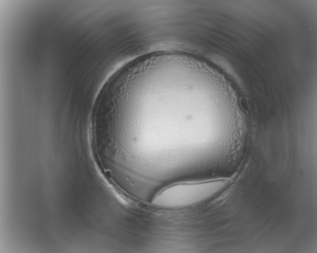 X0000063451040200602031803