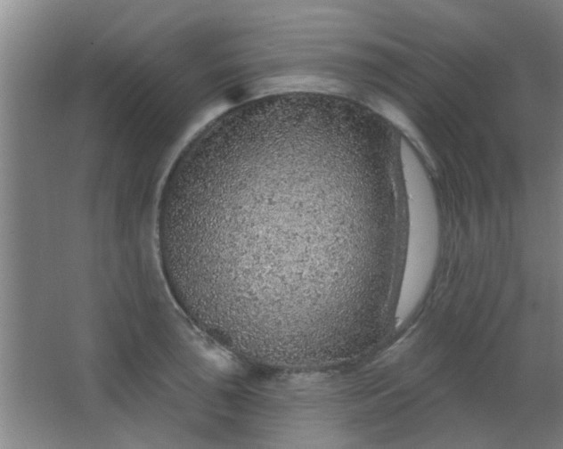 X0000063451043200602031803