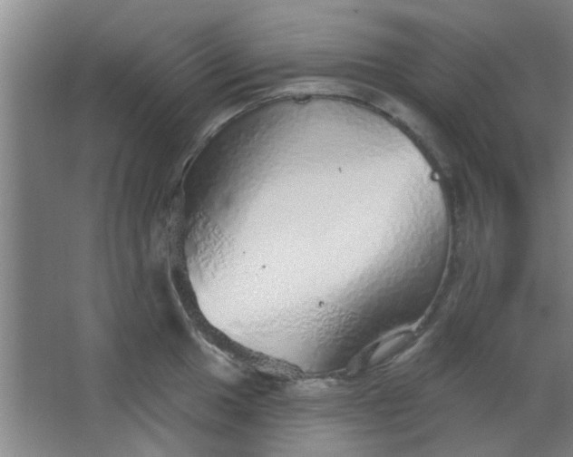 X0000063451049200602031803