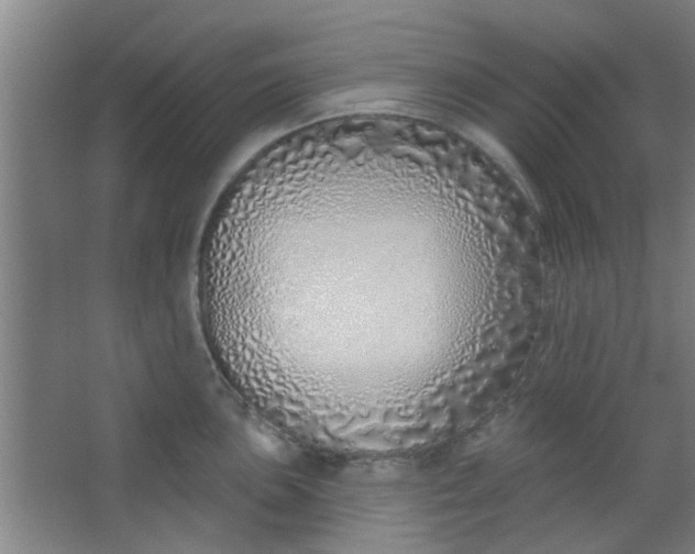 X0000063451051200602031803