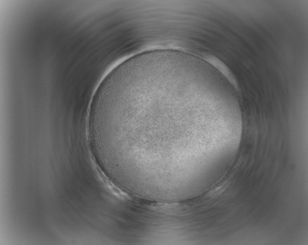 X0000063451052200602031803