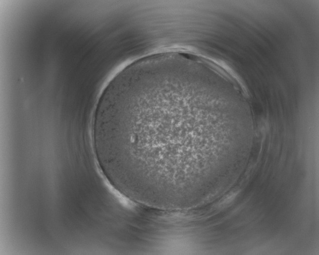 X0000063451054200602031803