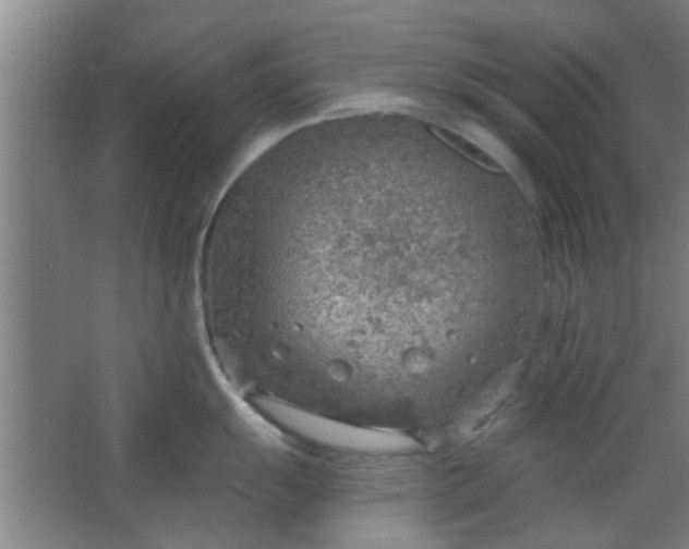 X0000063451055200602031803