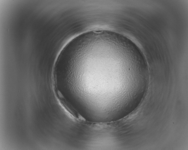 X0000063451056200602031803