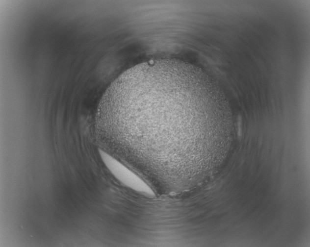 X0000063451059200602031802