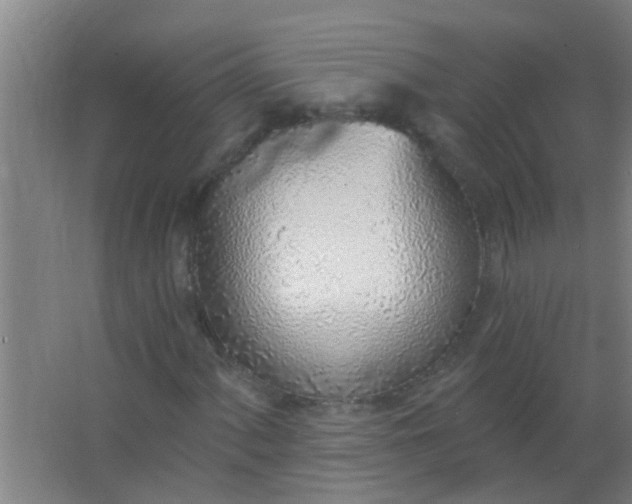 X0000063451060200602031802