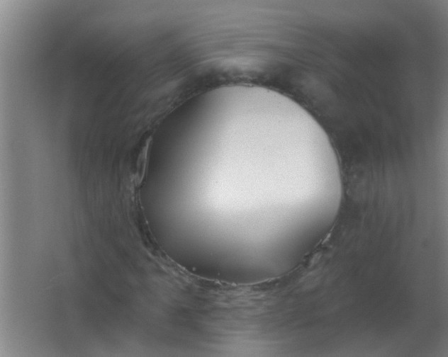 X0000063451061200602031802