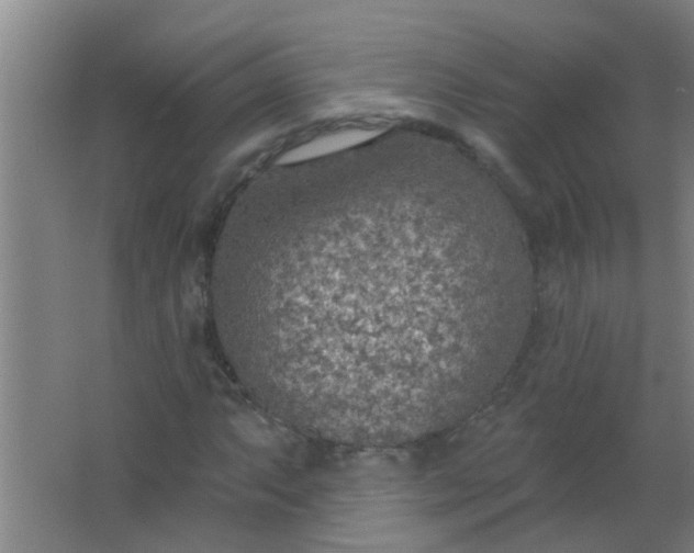 X0000063451063200602031802