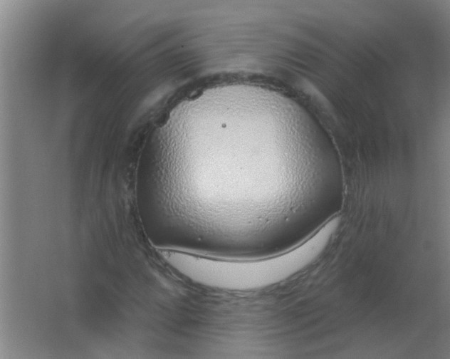 X0000063451064200602031802