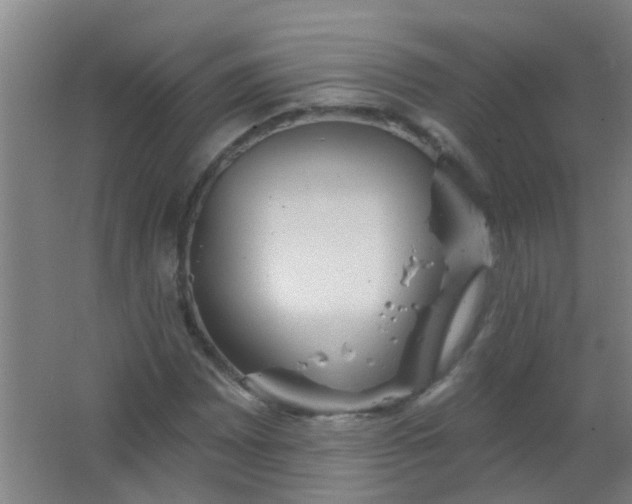 X0000063451065200602031802