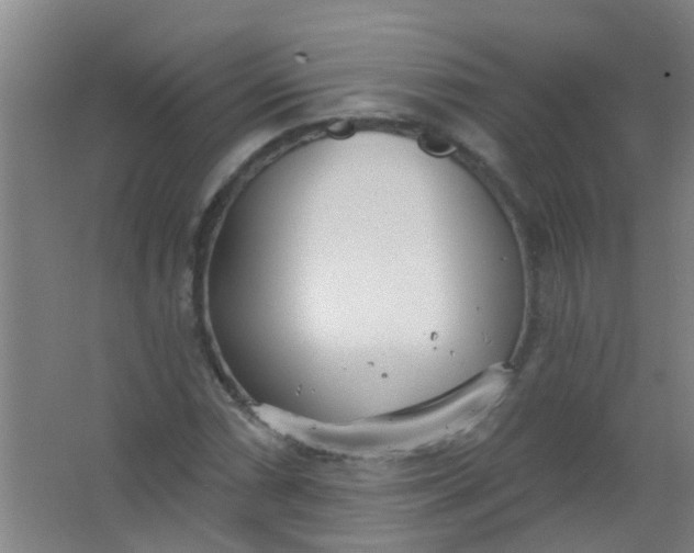 X0000063451066200602031802