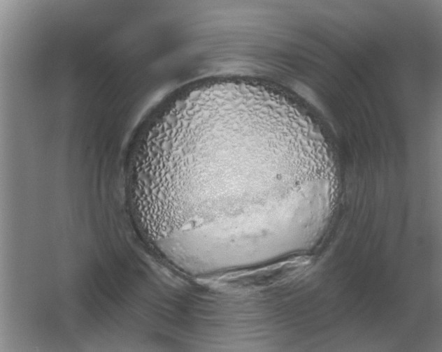 X0000063451067200602031802