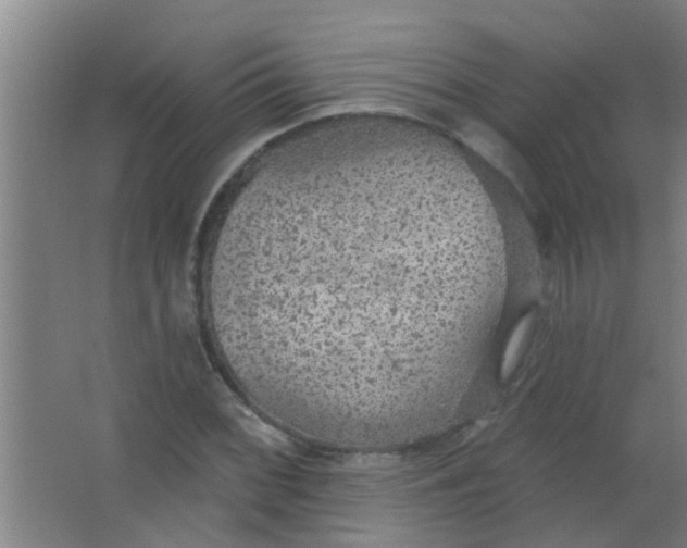 X0000063451068200602031802