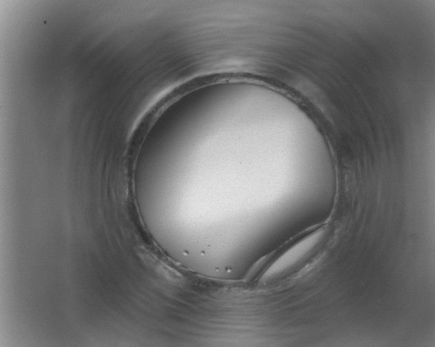 X0000063451069200602031802