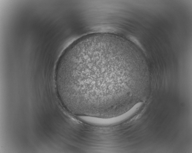 X0000063451071200602031802