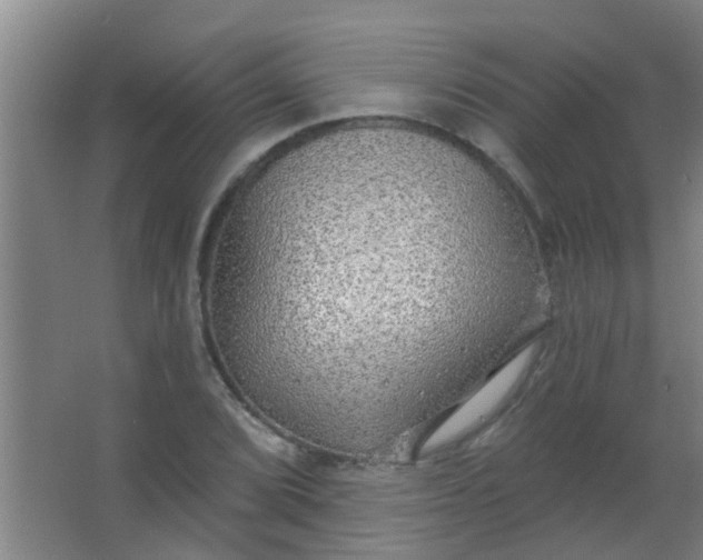 X0000063451072200602031802