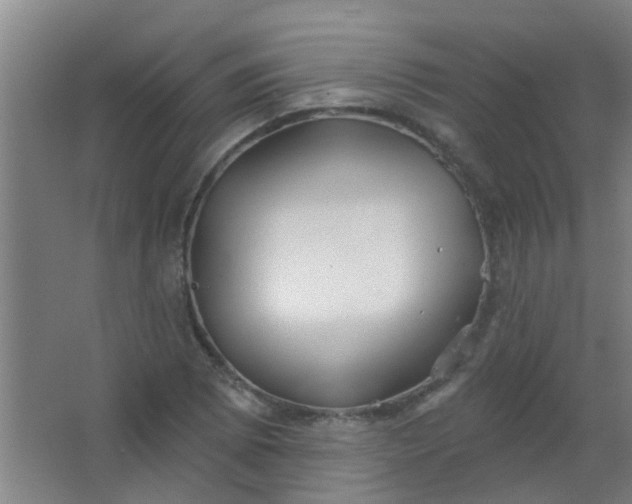 X0000063451073200602031802