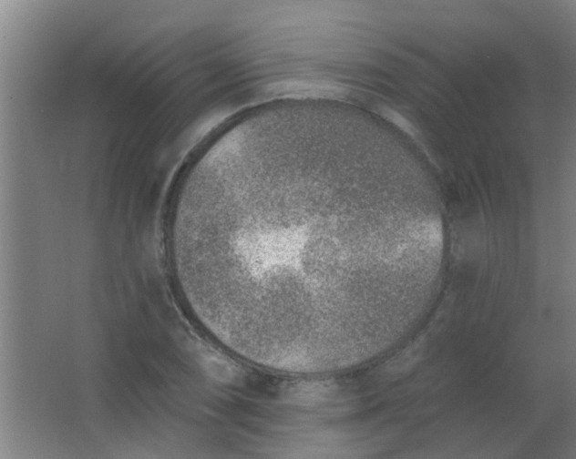 X0000063451074200602031802