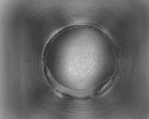 X0000063451077200602031802