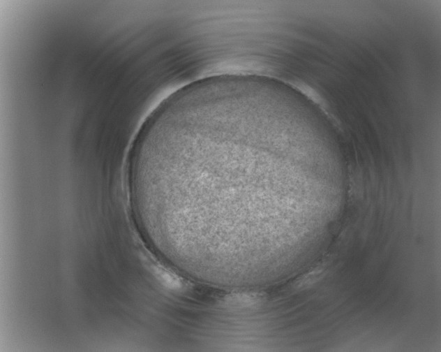 X0000063451078200602031802