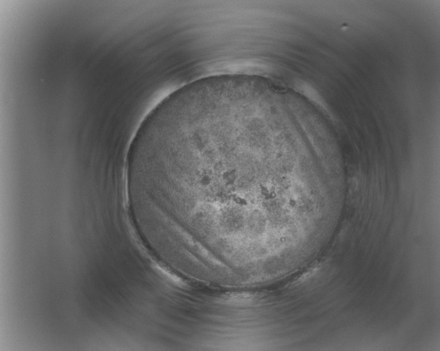 X0000063451079200602031802