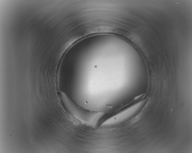 X0000063451081200602031802