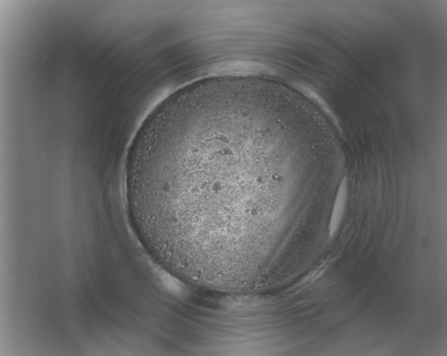 X0000063451083200602031802