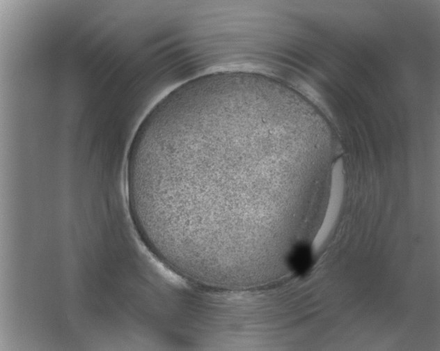 X0000063451084200602031802