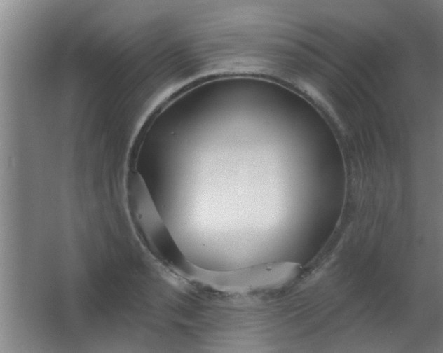 X0000063451085200602031802