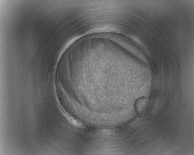 X0000063451086200602031802