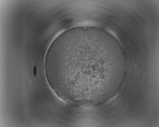 X0000063451087200602031801