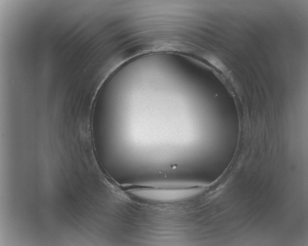 X0000063451089200602031801