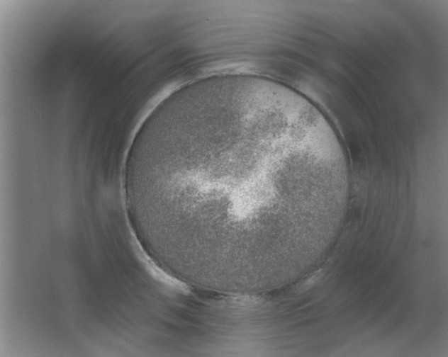 X0000063451090200602031801