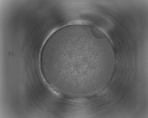 X0000063451091200602031801