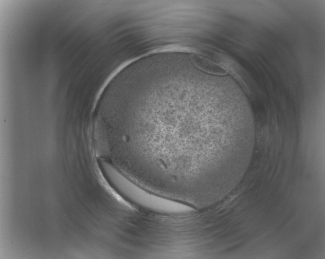 X0000063451092200602031801