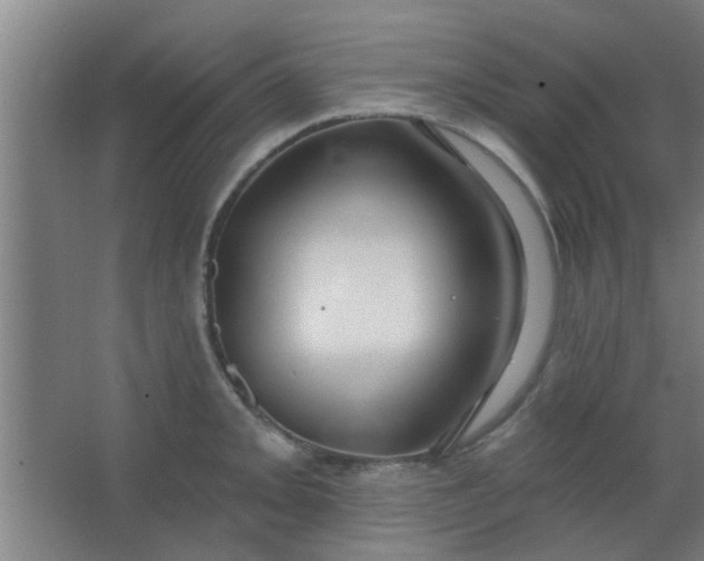 X0000063451093200602031801