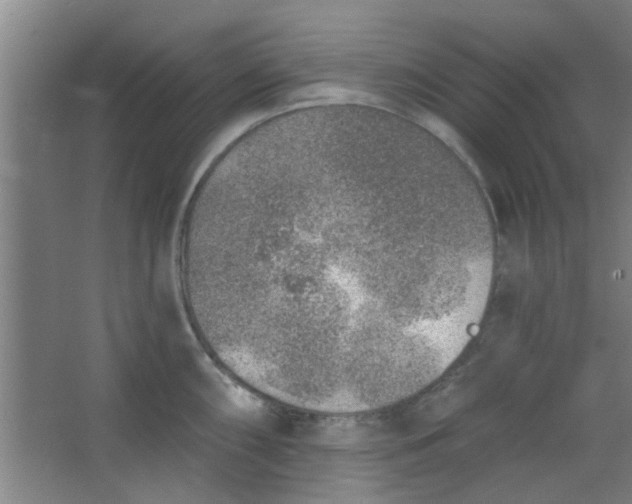 X0000063451098200602031801