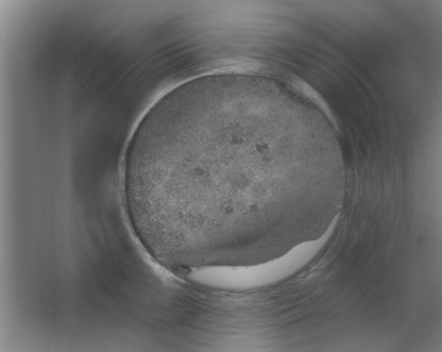 X0000063451099200602031801