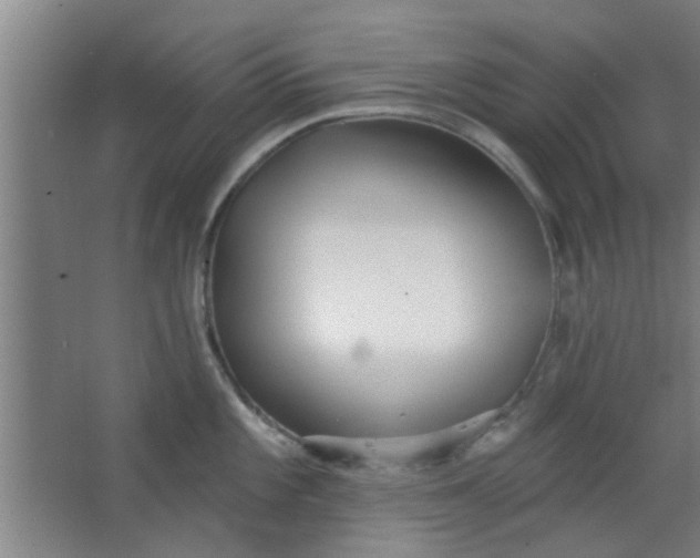 X0000063451101200602031801